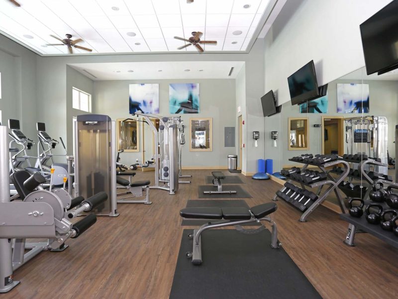 This image shows an expansive view of the fitness gym equipment featuring the standard treadmill, elliptical, and bike. These bikes allow the user to work at their level of resistance and pace while pushing and pulling their arms for an effective full-body workout.