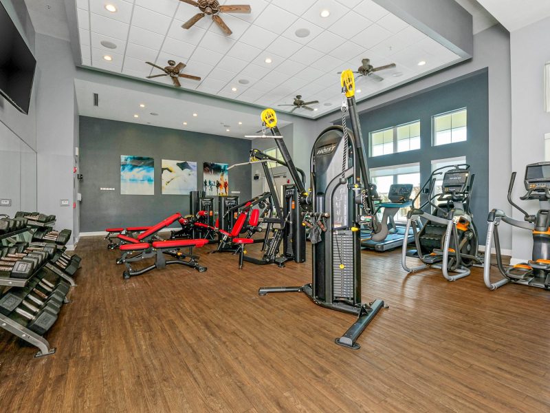 Modern apartment fitness center with cardio machines, free weights, and natural light.