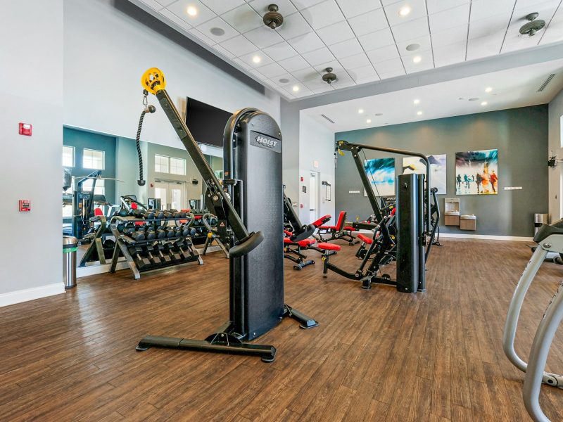 Modern gym interior with cable machine, dumbbells, wood flooring, and natural lighting.