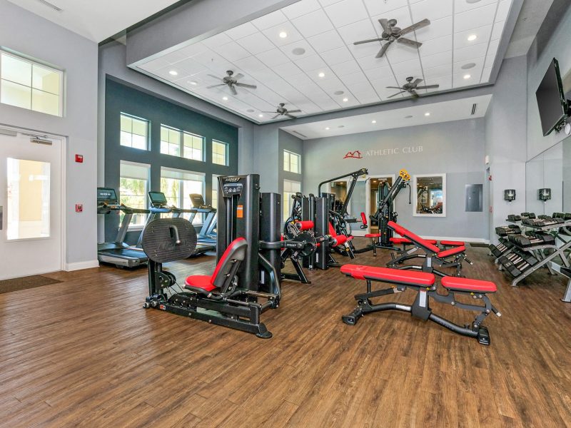 Modern fitness gym with weight machines, cardio equipment, and bright natural lighting.