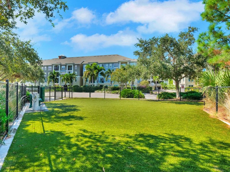 Modern apartment complex with manicured lawn, green trees, and blue sky on a sunny day.