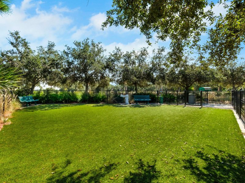 Spacious artificial grass lawn with trees and playground in a peaceful outdoor park setting.